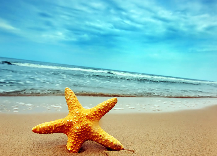 temporada em peruibe